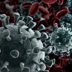 Что известно о новом штамме коронавируса «Эрис»: симптомы и последствия