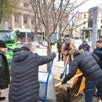 В сквере имени Михая Эминеску в столице сажают деревья