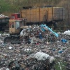 Из Кишинева 7 дней не вывозится мусор