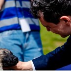 Ради голосов румынские политики играют на гармошке и разговаривают с собаками