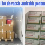 Молдова закупила первую партию вакцины против бешенства