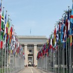 ООН: В Молдове ущемляют права этнических меньшинств 