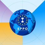 Из фондов ЕС вывели миллион с помощью мошенников из Молдовы