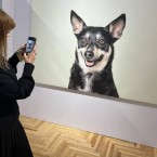 Национальный музей истории открыл выставку бездомных собак