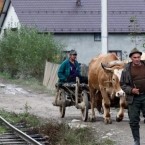 Румыния потеряла из-за войны не менее 15 миллиардов евро  