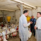 Правительство превратилось в кассира ЕС