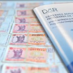 Правительство предоставит 10 миллионов лей в рамках программы для диаспоры