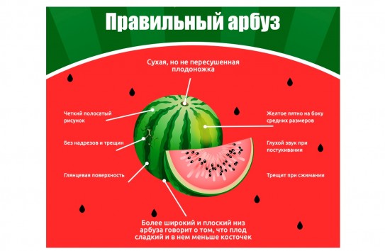 {Отравления арбузами? Нет, не слышали} Молдавские Ведомости
