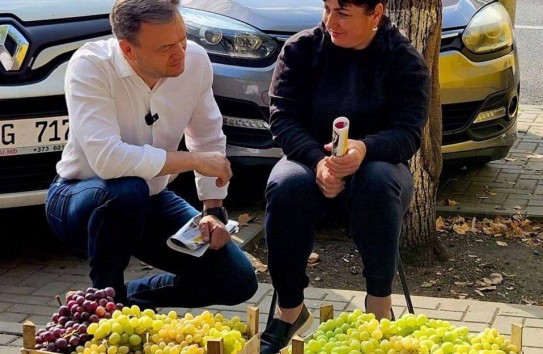 {Мы экспортируем не яблоки и сливы, а "достоинство" и предвыборные лозунги} Молдавские Ведомости