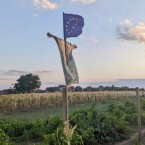 Василе Ерну: Десять тем, которые не обсуждаются на выборах
