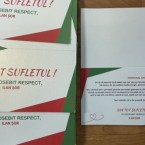 Бывший телохранитель Шора осужден за незаконное финансирование партии Шора