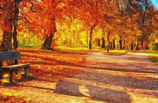 {Одесса уходит под контроль СБУ} Молдавские Ведомости