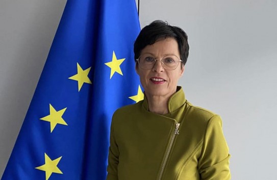 {Идея "двухуровневого членства" в ЕС обретает все более четкие очертания} Молдавские Ведомости