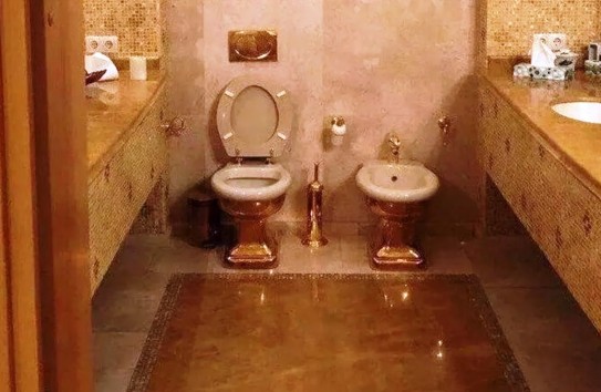 {"Financial Times" показала золотой унитаз Миндича} Молдавские Ведомости