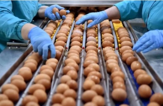 {Почему на самом деле подорожали яйца} Молдавские Ведомости