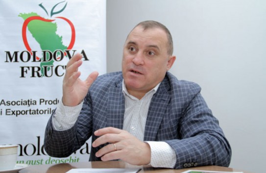 {Директор ассоциации Moldova Fruct об уменьшении площади яблоневых садов: Это нормально} Молдавские Ведомости