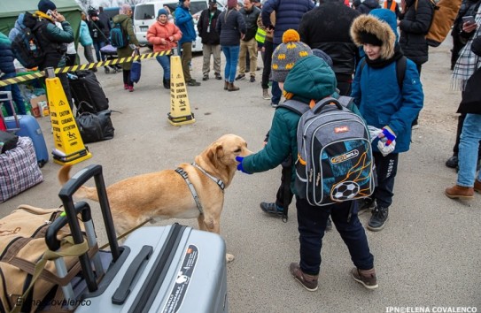 {Временная защита украинцев в Молдове будет продлена} Молдавские Ведомости