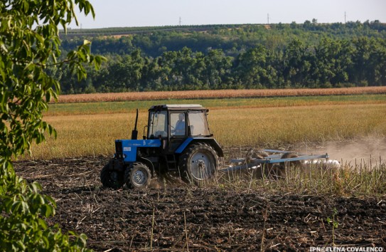 {12-месячный мораторий для фермеров, находящихся в процессе взыскания задолженности} Молдавские Ведомости