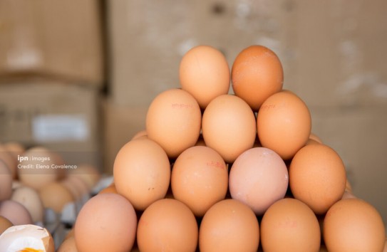 {Минсельхоз спрашивает совет по конкуренции, почему яйца стоят 50 лей} Молдавские Ведомости