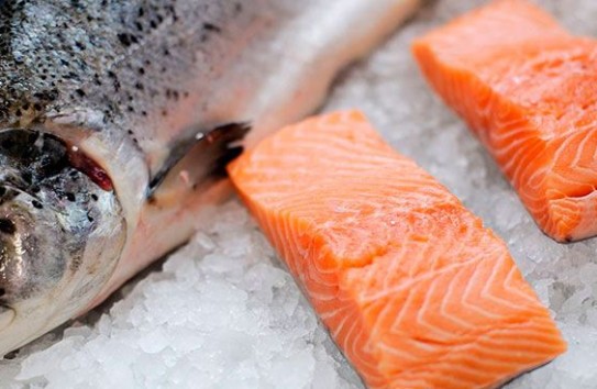 {Почему лосось - самая опасная рыба в мире} Молдавские Ведомости