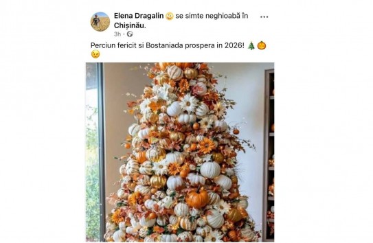 {Елена Драгалин: "Perciun Fericit si Bostaniada prospera in 2026!" } Молдавские Ведомости