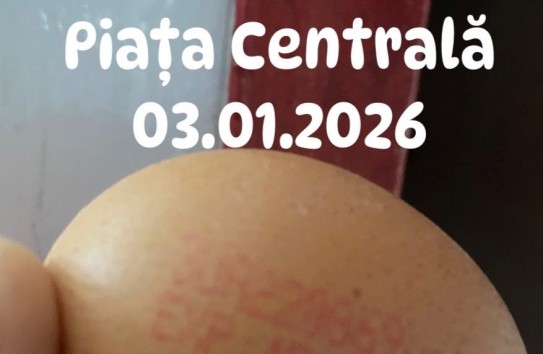 {Илиан Кашу: Как ANSA проверяет импортные яйца с Украины? } Молдавские Ведомости