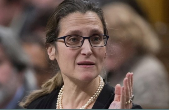 {Хомяк и другие: Зеленский сделал своим советником внучку нацистского коллаборациониста} Молдавские Ведомости