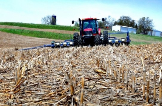 {Долги по субсидиям фермерам в Молдове превысили три миллиарда лей} Молдавские Ведомости