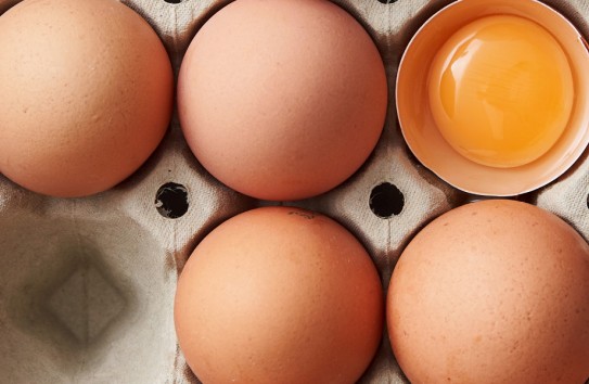 {Яйца с метронидазолом поставлялись по государственным тендерам} Молдавские Ведомости