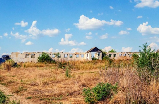 {Болезни животных и «гниющий лук»: почему это тест на дееспособность государства} Молдавские Ведомости