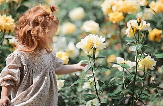 {Ученые выяснили, почему мы не помним себя младенцами} Молдавские Ведомости