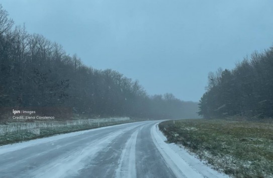 {Армия окажет помощь местным властям в борьбе с голодедом} Молдавские Ведомости