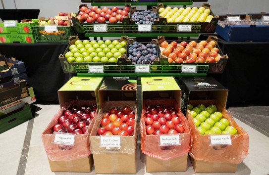 {Сельскохозяйственный экспорт вступает в зону серьезного риска} Молдавские Ведомости