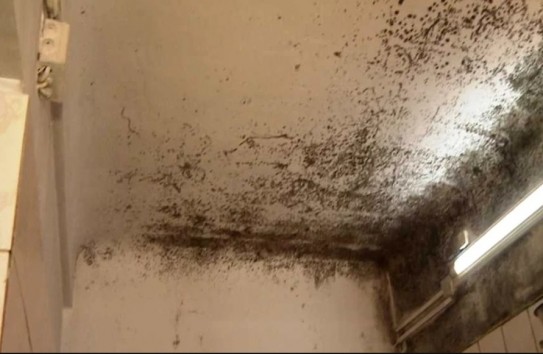 {Детская больница, ставшая концлагерем } Молдавские Ведомости