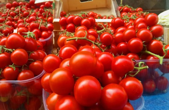 {Доля Молдовы в экспорте помидоров из Украины составила 61,5 процента} Молдавские Ведомости