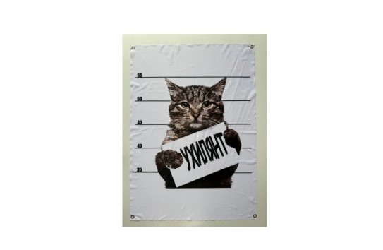 {В Одессе нашли конвейер по производству документов для «ухилянтов», бегущих в Молдову} Молдавские Ведомости