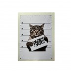 В Одессе нашли конвейер по производству документов для «ухилянтов», бегущих в Молдову