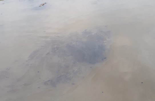 {Вода в Днестре: что происходит} Молдавские Ведомости