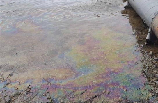 {Специалисты из Румынии помогут установить фильтры на Днестре} Молдавские Ведомости