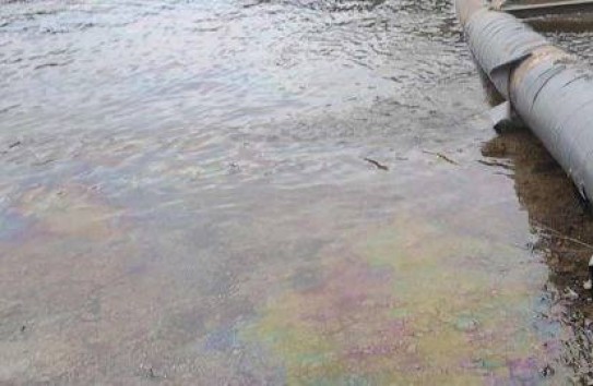 {Так что же всё-таки загрязнило Днестр? } Молдавские Ведомости