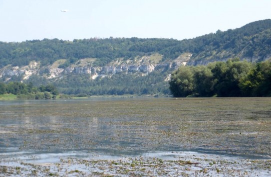 { Днестр отравлен: как 1,5 тонны масла превратились в кризис управления в Молдове} Молдавские Ведомости