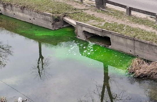 {Появление зеленых пятен на Быке объяснила инспекция по охране окружающей среды} Молдавские Ведомости