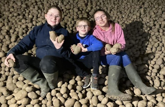 {Бесплатно раздают на Пасху картофель} Молдавские Ведомости