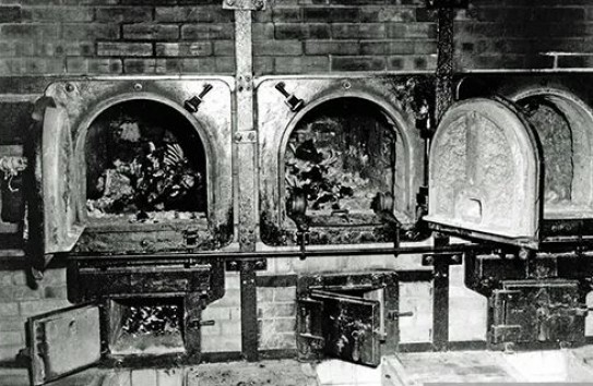 {Ежегодно 11 апреля отмечается Международный день освобождения узников нацистских концлагерей} Молдавские Ведомости