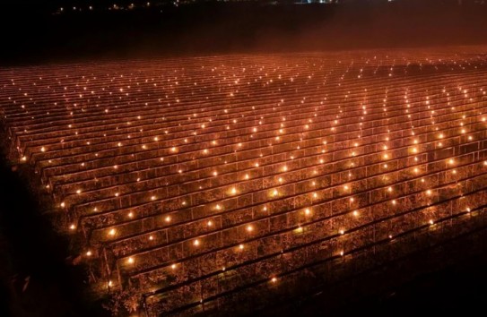 {«За одну ночь мы сожгли 40 тысяч евро»} Молдавские Ведомости