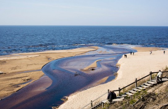 {Быть хосписом Европы – достойный бизнес} Молдавские Ведомости