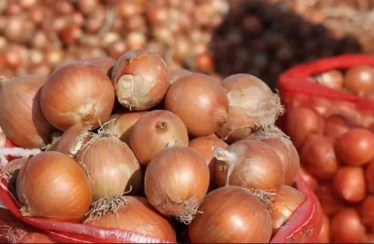 {Цены на репчатый лук в Молдове растут из-за дефицита запасов} Молдавские Ведомости