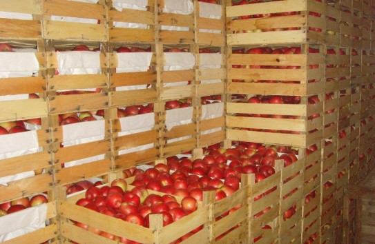 {В Молдове до сих пор не создано ни одной сельскохозяйственной палаты} Молдавские Ведомости