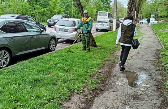 {В столице начинается обработка зеленых зон против клещей} Молдавские Ведомости