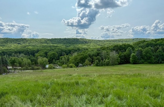 {Более 337 тысяч гектаров лесных угодий не оценены и не учтены} Молдавские Ведомости